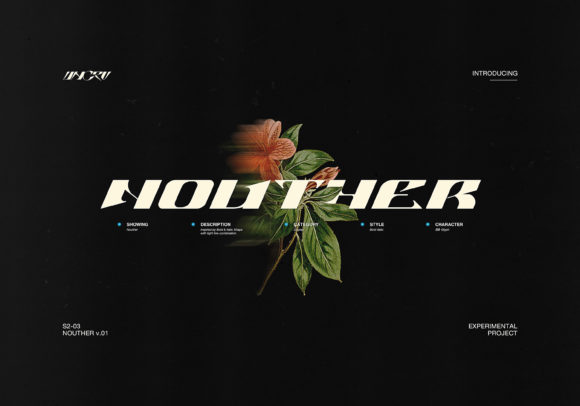 Nouther Font Review for Modern Branding Projects